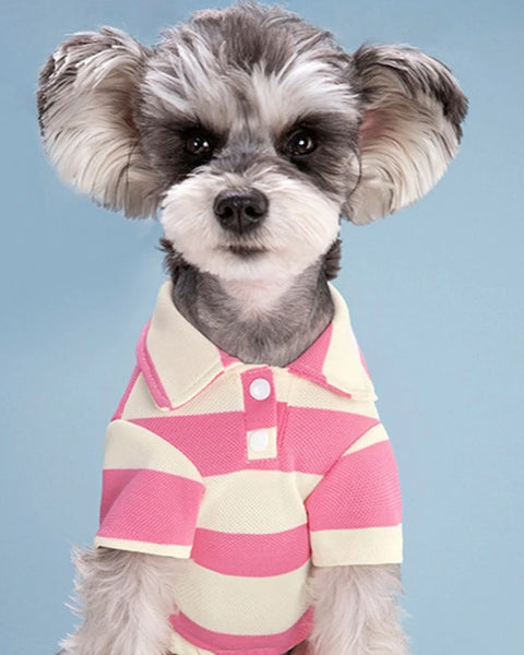 PawPolo Summer Shirt