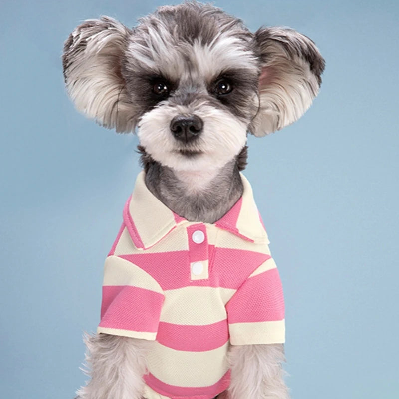 PawPolo Summer Shirt