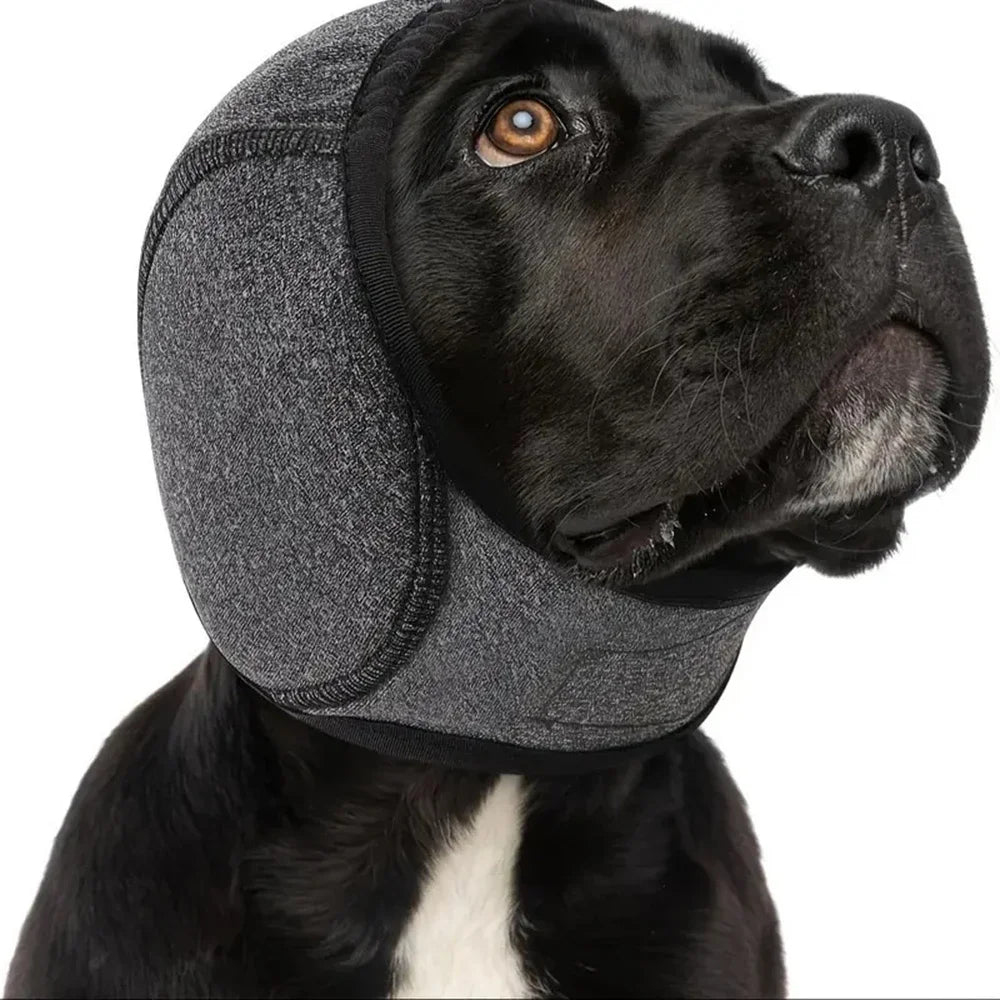 CalmGuard Dog