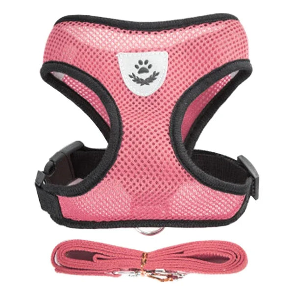 Veltra – Adjustable Pet Harness with Leash