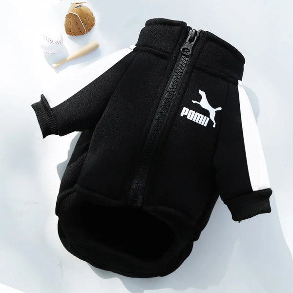 WinterPaws Baseball Jacket