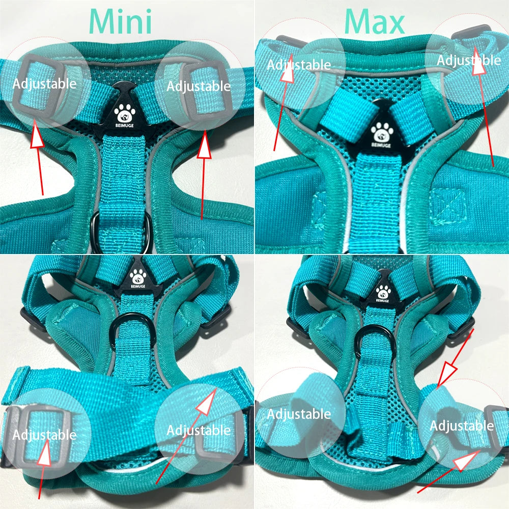 Dog Harness and Leash Set
