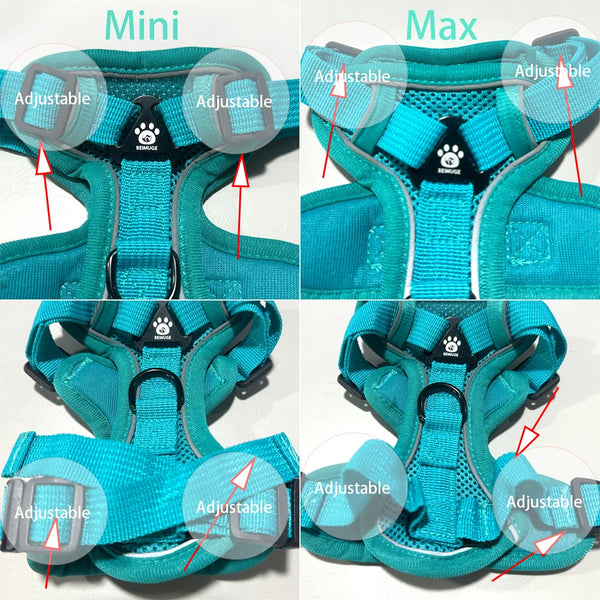 Dog Harness and Leash Set
