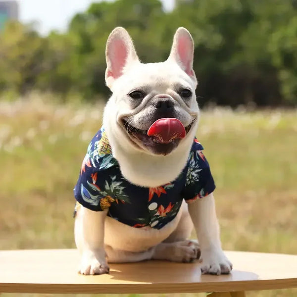 AlohaPaw Hawaiian Shirt