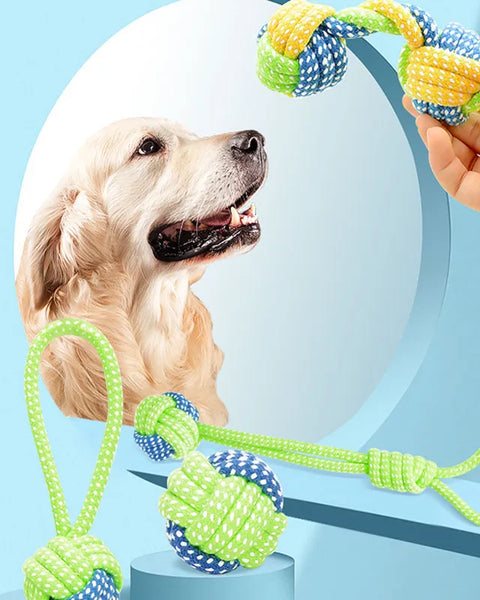 RopePlay Dental Dog