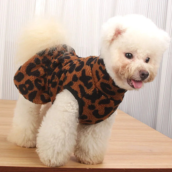 WinterHug Dog