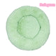  Fruit Green