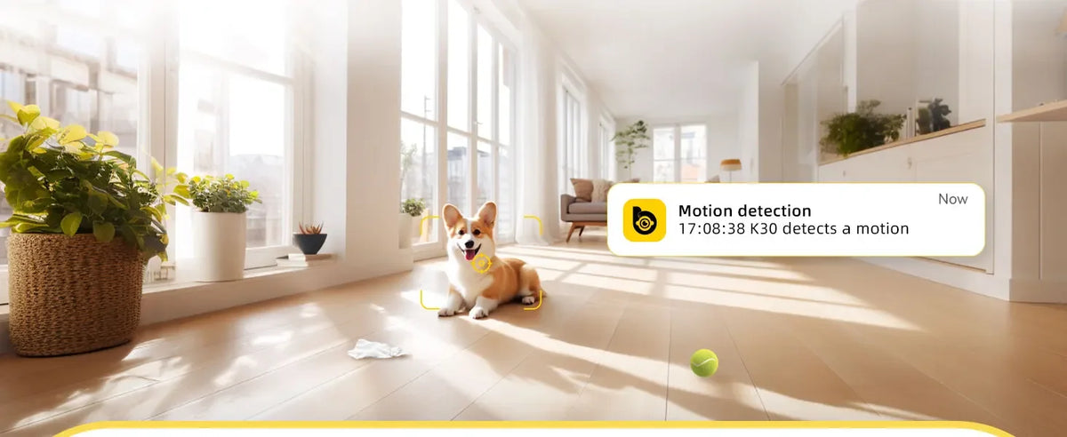 PetGuard Vision 2K Advanced
