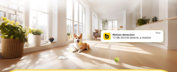 PetGuard Vision 2K Advanced