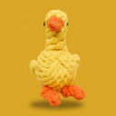  Little Duck