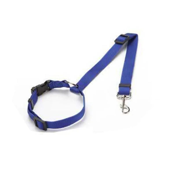 SafeRide Dog Belt