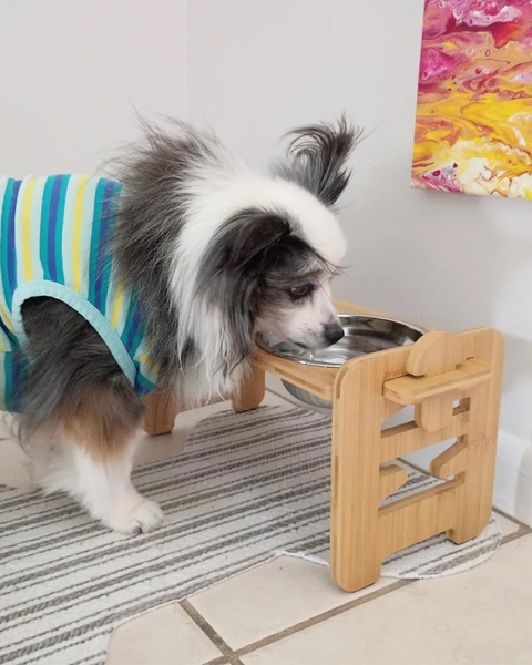 Adjustable elevated pet bowl with stainless steel bowls and foldable wooden frame, featuring 6 height and tilt levels to improve feeding posture for small dogs and cats