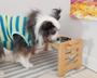 Adjustable elevated pet bowl with stainless steel bowls and foldable wooden frame, featuring 6 height and tilt levels to improve feeding posture for small dogs and cats