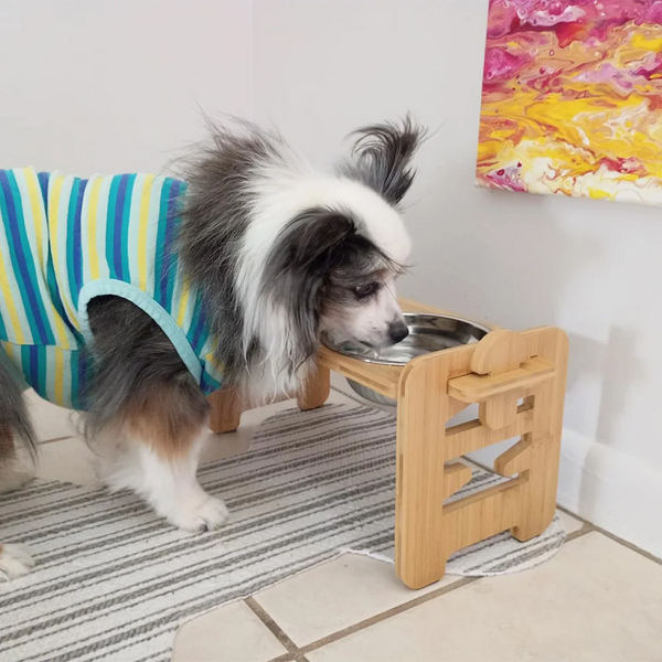 Adjustable elevated pet bowl with stainless steel bowls and foldable wooden frame, featuring 6 height and tilt levels to improve feeding posture for small dogs and cats