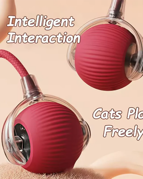 Original PetFunPro™ Interactive Toy