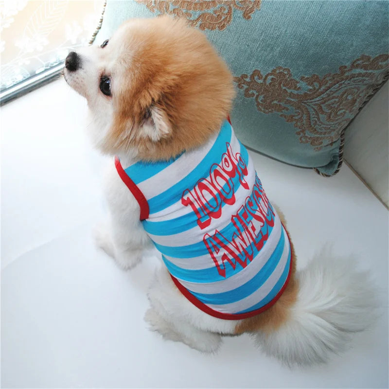 Airy Paws Apparel