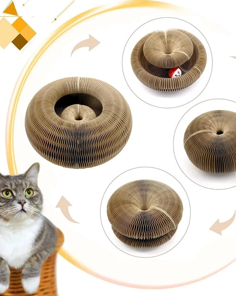 PurrPlay Maze Board