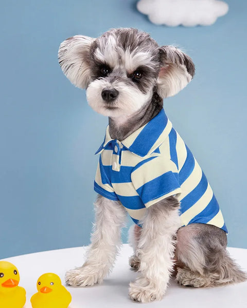 Breathable polo shirt for dogs and cats that provides lightweight comfort and unrestricted movement during warm weather and daily activities.