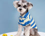 Breathable polo shirt for dogs and cats that provides lightweight comfort and unrestricted movement during warm weather and daily activities.