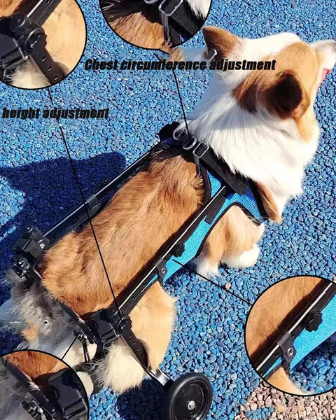 Mobilicare Pet