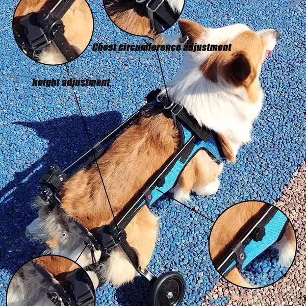 Mobilicare Pet