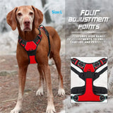 Adjustable dog harness set with leash for small to medium dogs that provides safe control and reduces neck strain during walks.