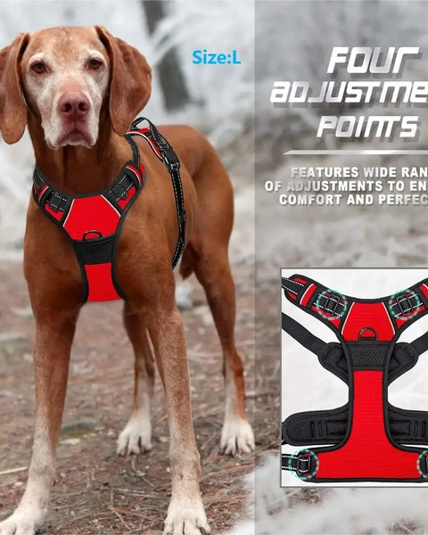 Adjustable dog harness set with leash for small to medium dogs that provides safe control and reduces neck strain during walks.