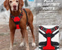 Adjustable dog harness set with leash for small to medium dogs that provides safe control and reduces neck strain during walks.