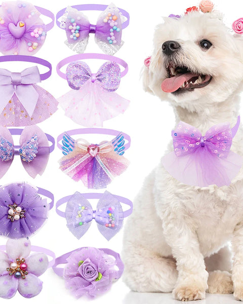 LaceCharm Bow Collar Set