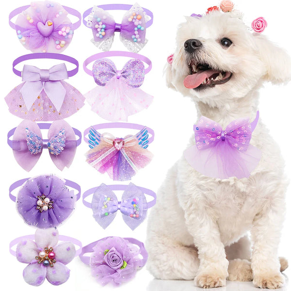 LaceCharm Bow Collar Set