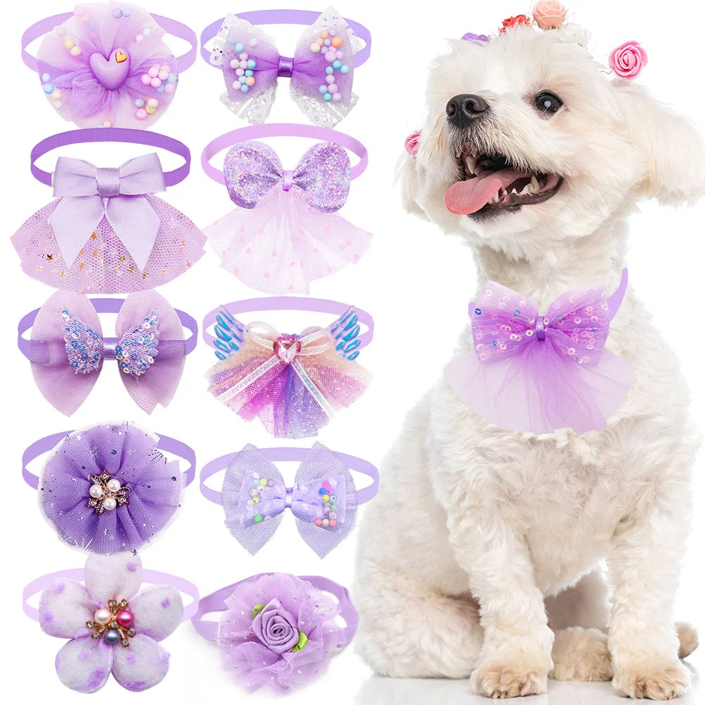 LaceCharm Bow Collar Set