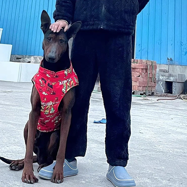 Stormark – Waterproof Outdoor Jacket for Large Dogs