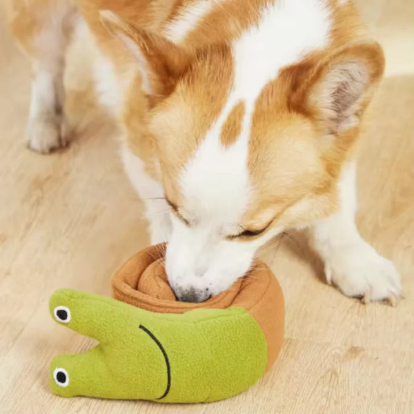 SniffyShell Play Mat