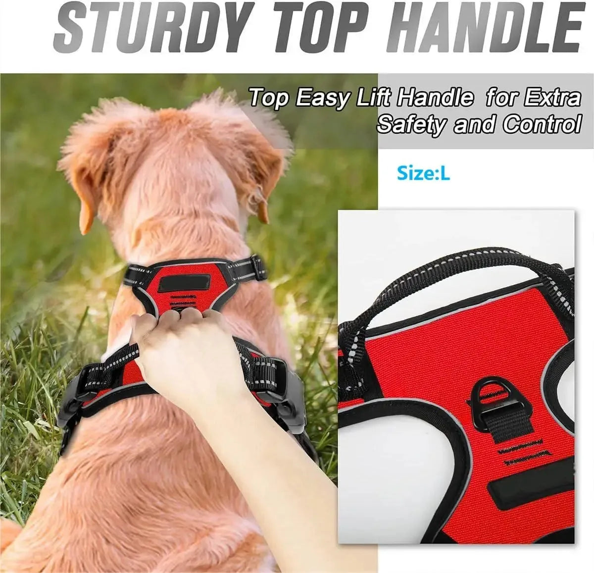 SafeTrail Harness