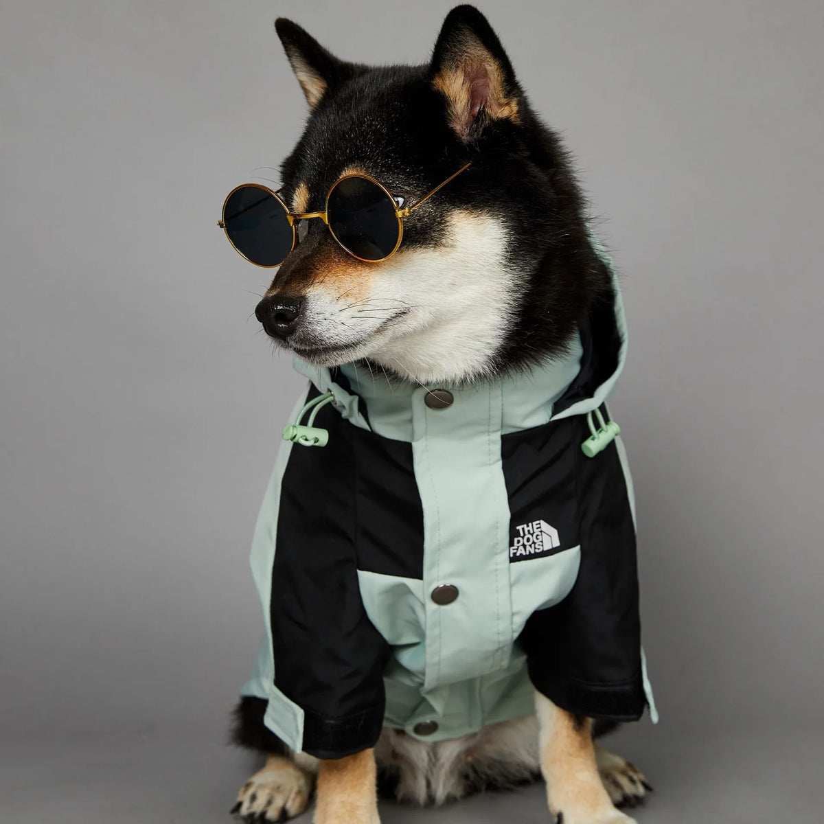 Lunavo Premium Dog Jacket