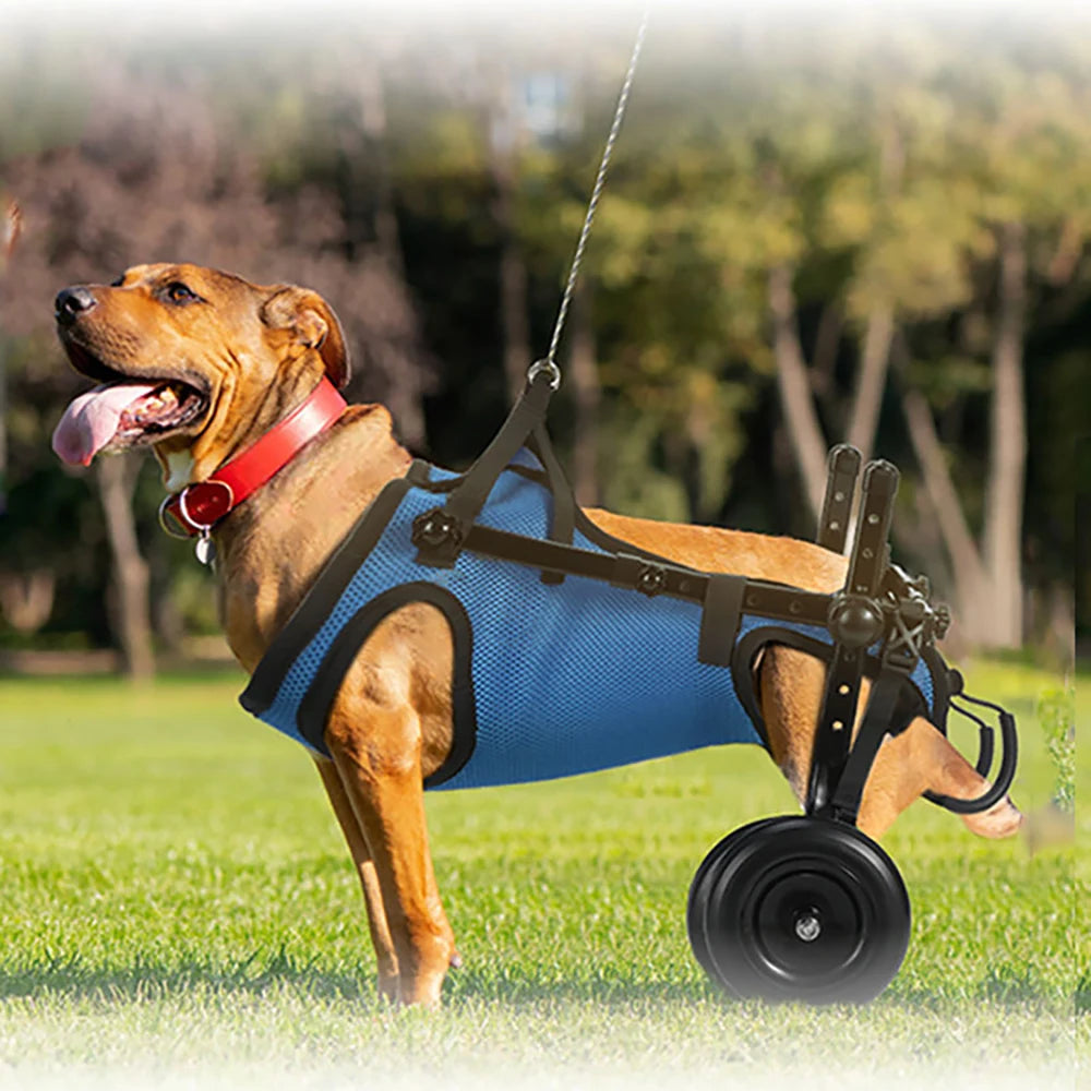 Mobilicare Pet