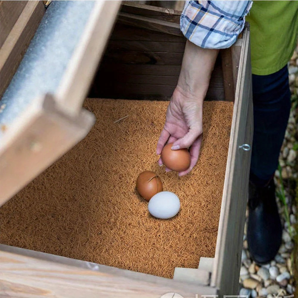 NaturEgg Coconut Coir