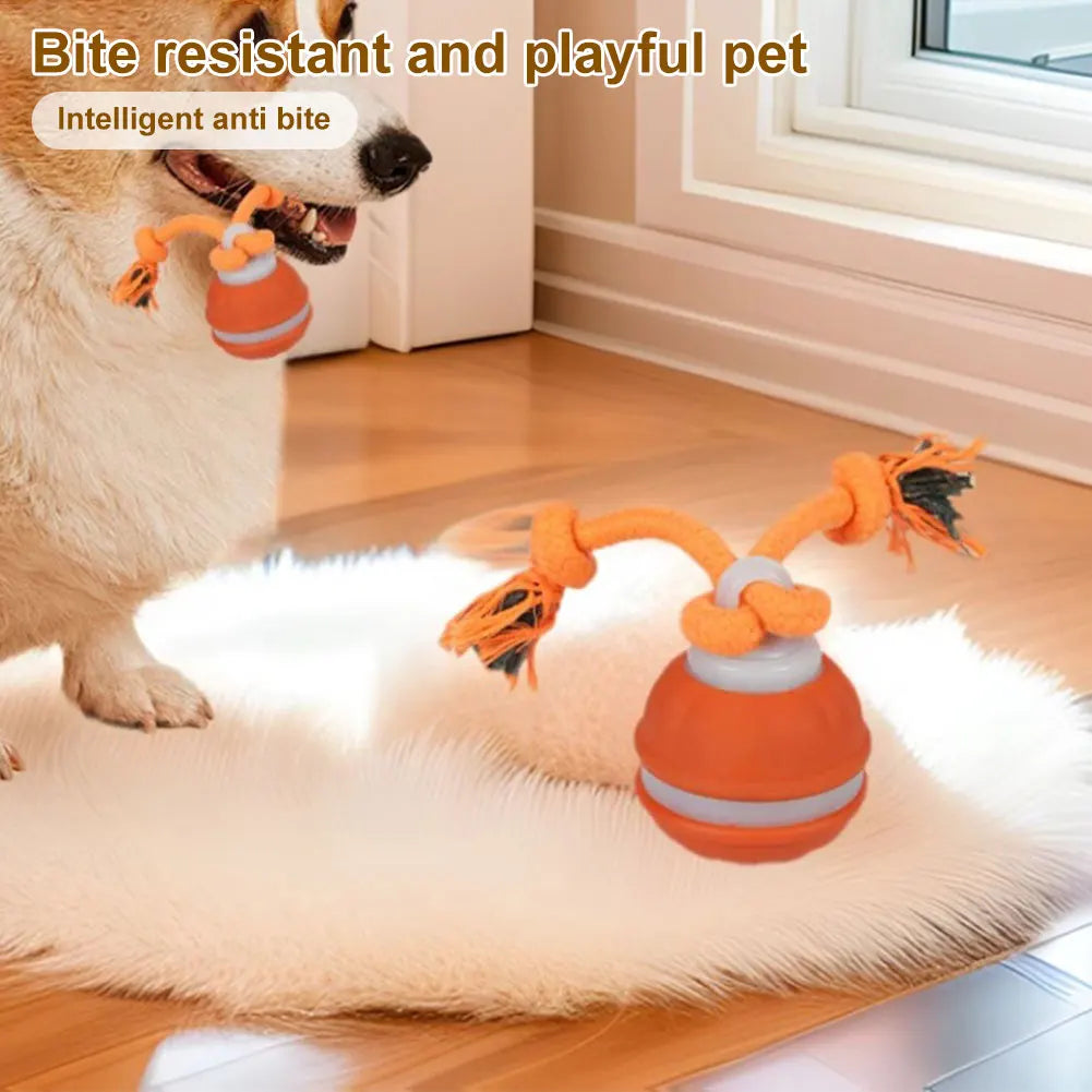 PawVortex