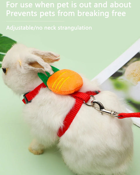 Leashy Rabbit Cat Harness