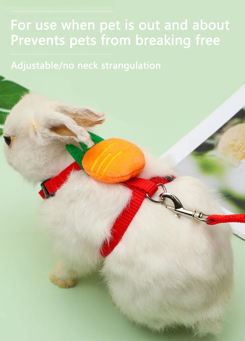 Leashy Rabbit Cat Harness