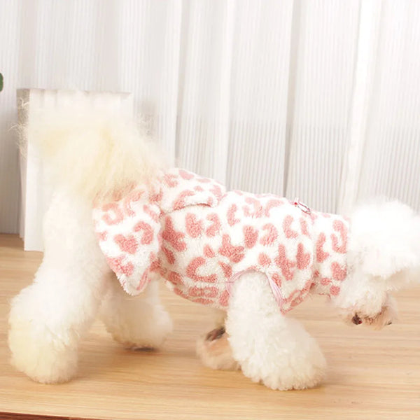WinterHug Dog