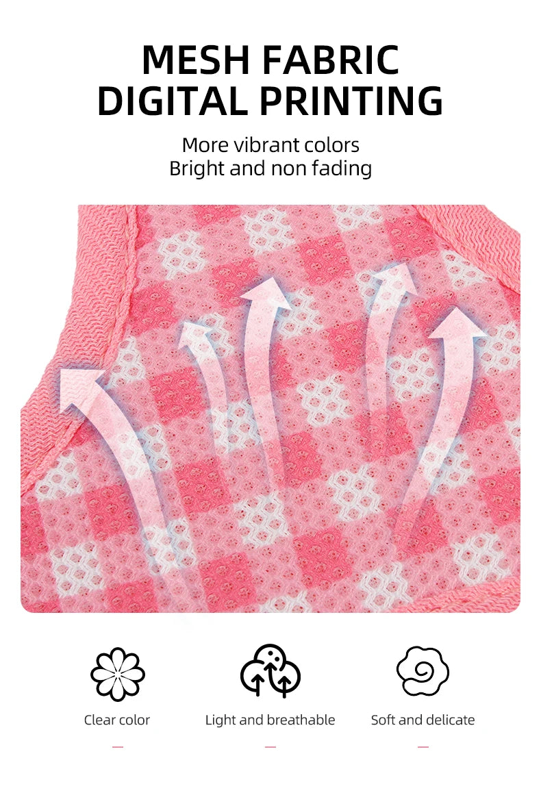 Dog Harness and Leash Set