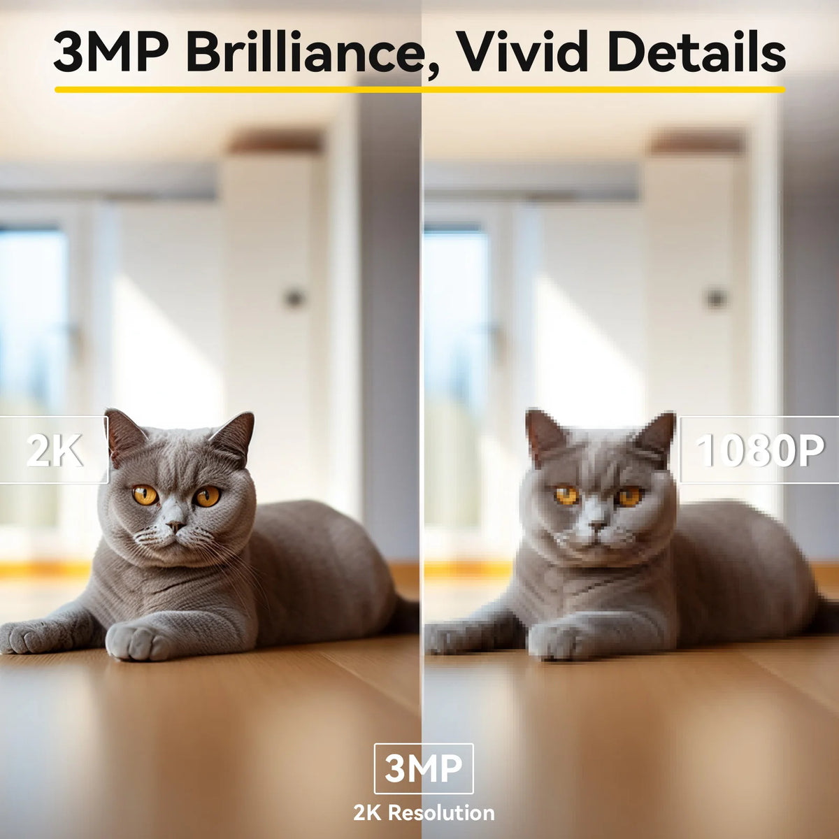 PetGuard Vision 2K Advanced