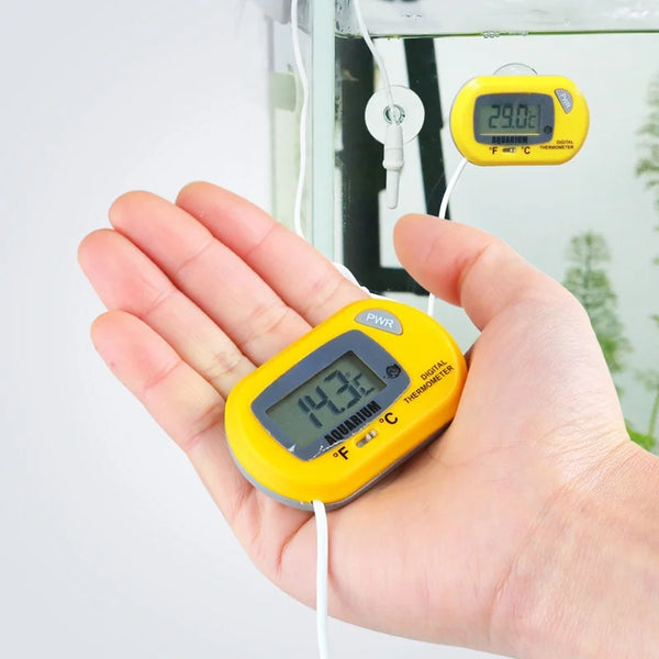 Thermaqua Digital Aquarium