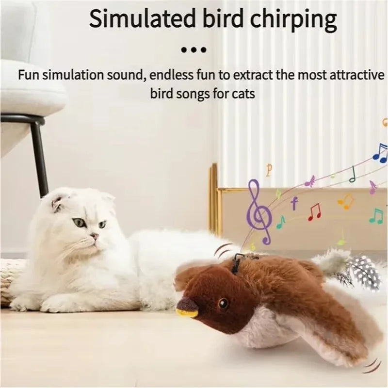 Fluffwing Cat