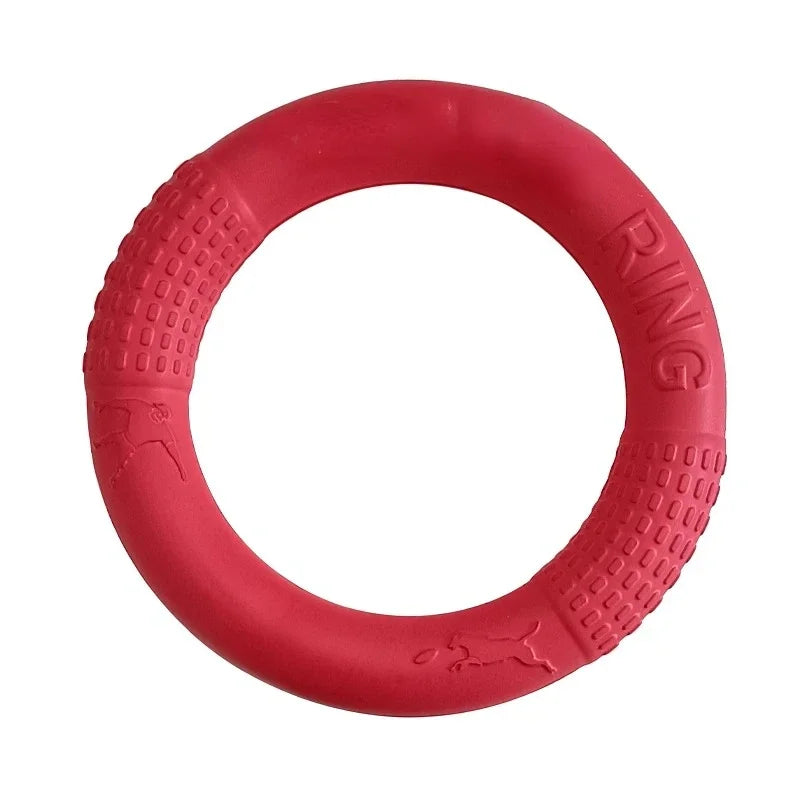 FetchRing Floating Toy