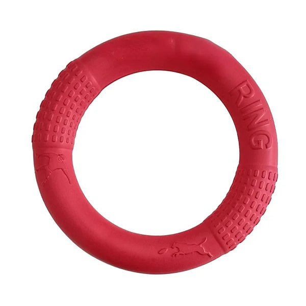 FetchRing Floating Toy