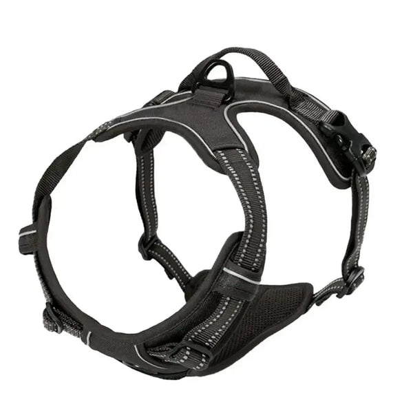 SafeTrail Harness