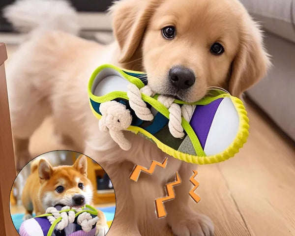 Squeaky slipper-shaped dog toy for dogs that supports chewing, dental cleaning, and mental stimulation during interactive play.