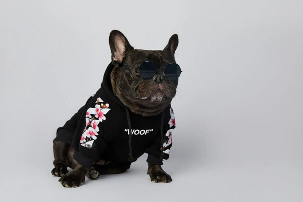 Cozybark – Premium Front-Leg Hoodie for Pets